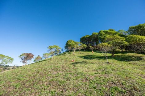 Photo of property in 41 Saint Lawrence Street, Toi Toi, Nelson, 7010