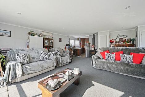 Photo of property in 25 Arnott Street, Alexandra, 9320