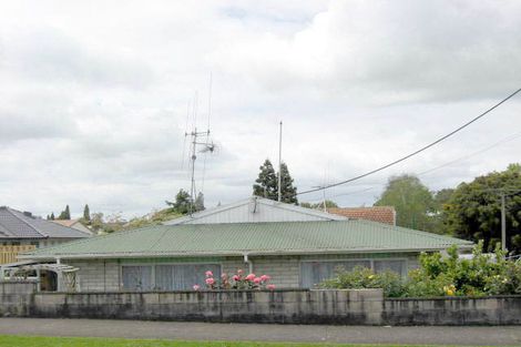 Photo of property in 137 Bridgman Road, Te Awamutu, 3800