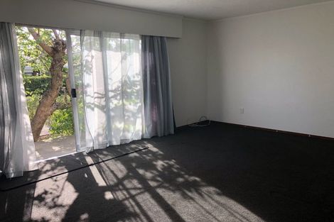 Photo of property in 405a Otumoetai Road, Otumoetai, Tauranga, 3110