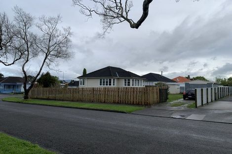 Photo of property in 49 Andrew Avenue, Roslyn, Palmerston North, 4414