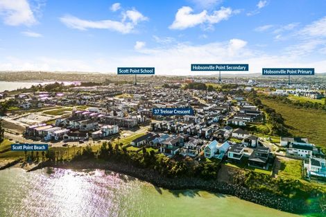 Photo of property in 37 Treloar Crescent, Hobsonville, Auckland, 0616