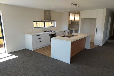 Photo of property in 19 Mccormick Lane, Rolleston, 7615