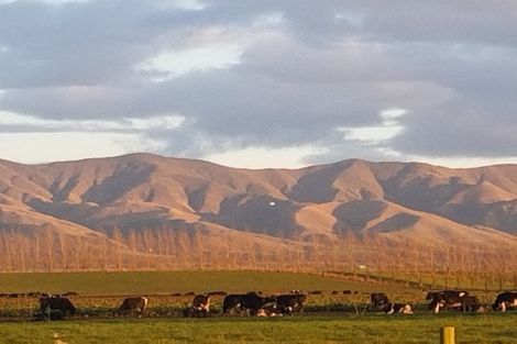 Photo of property in 48 Sherwood Road, Makikihi, Waimate, 7978