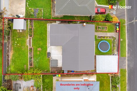 Photo of property in 25 Elwyn Crescent, Green Island, Dunedin, 9018