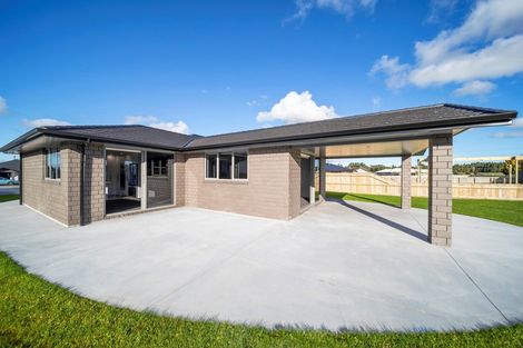 Photo of property in 5 Biron Place, Stratford, 4332