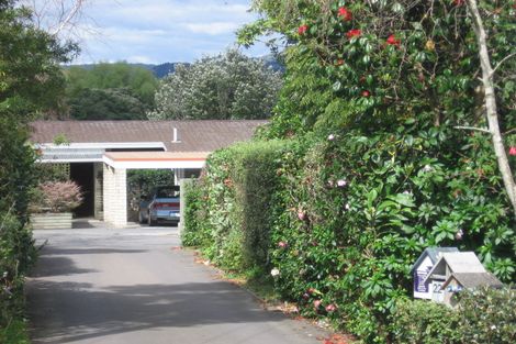 Photo of property in 24 Scantlebury Street, Tauranga South, Tauranga, 3112