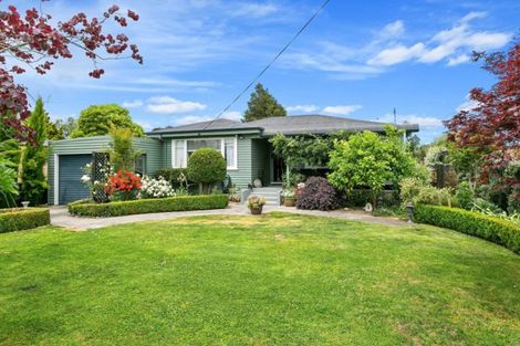 Photo of property in 11 Keats Terrace, Leamington, Cambridge, 3432