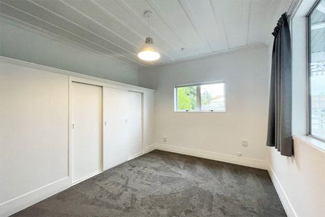 Photo of property in 29 Tyne Street, Roslyn, Dunedin, 9010