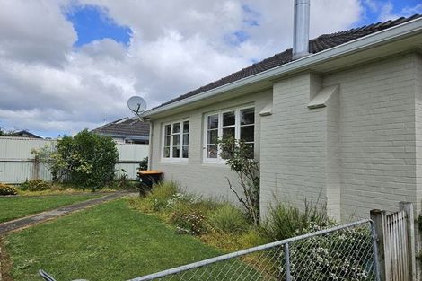 Photo of property in 41 Ihle Street, Terrace End, Palmerston North, 4410