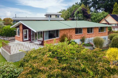 Photo of property in 90a Gleniti Road, Gleniti, Timaru, 7910