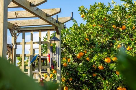 Photo of property in 63 Kane Road, Papamoa Beach, Papamoa, 3118