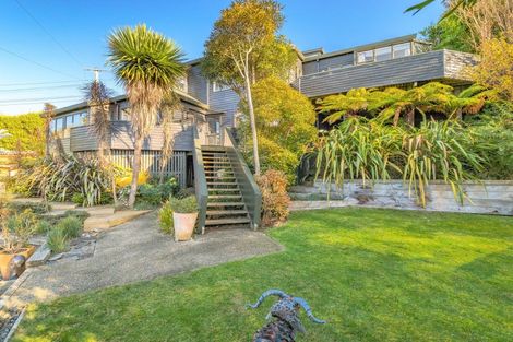 Photo of property in 17 Garfield Avenue, Roslyn, Dunedin, 9010