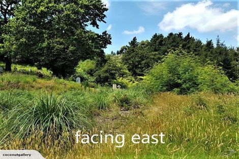 Photo of property in 210 Hauraki Terrace, Thames, 3500