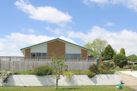 Photo of property in 65 Young Street, Morrinsville, 3300