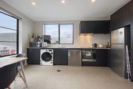 Photo of property in Aniva Terrace, 17 Arney Street, Newtown, Wellington, 6021