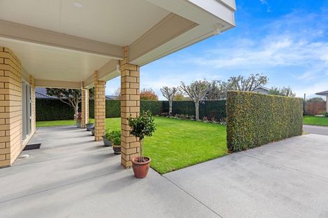 Photo of property in 7 O'connor Way, Bethlehem, Tauranga, 3110