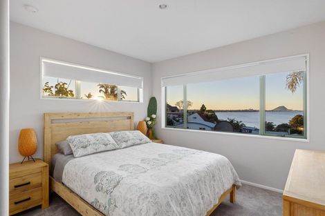 Photo of property in 202 Maungatapu Road, Maungatapu, Tauranga, 3112