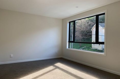 Photo of property in 229u6 Aro Street, Aro Valley, Wellington, 6021