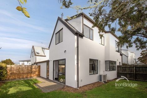 Photo of property in 22 Coles Place, St Albans, Christchurch, 8014