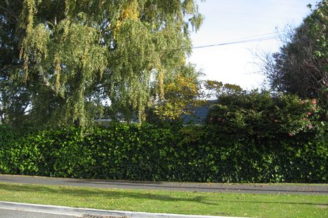 Photo of property in 157a Hamilton Avenue, Ilam, Christchurch, 8041