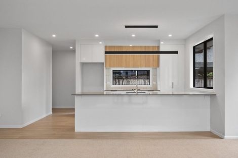 Photo of property in 10 Limbrick Street, Terrace End, Palmerston North, 4410