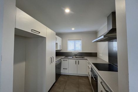Photo of property in 42 Tennille Street, Flagstaff, Hamilton, 3210