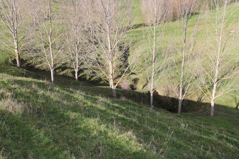 Photo of property in 17 Hill Street, Te Kuiti, 3910