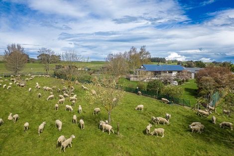 Photo of property in 425 Te Kura Road, Otane, 4277