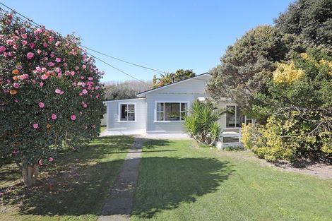 Photo of property in 46 Bridge Street, Bulls, 4818