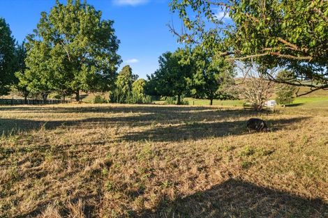 Photo of property in 398 Puketawai Road, Otorohanga, 3976