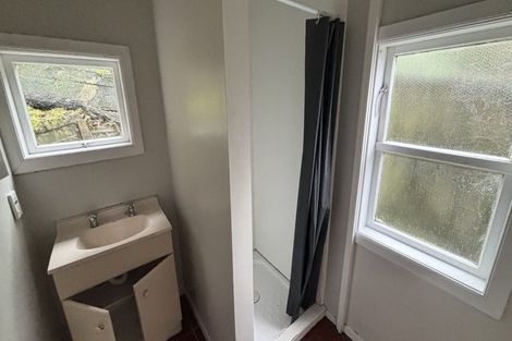 Photo of property in 52 Norway Street, Aro Valley, Wellington, 6012