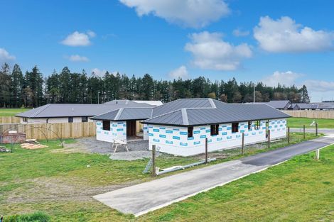 Photo of property in 23 Arrowsmith Drive, Methven, 7730