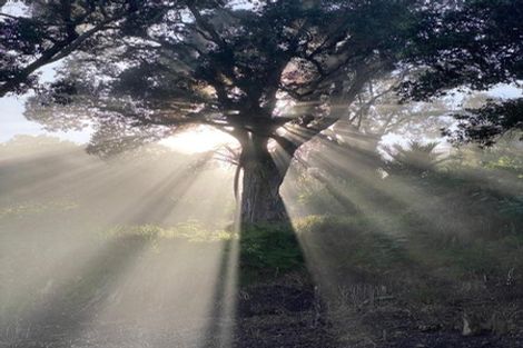 Photo of property in 448 Katui Road, Donnellys Crossing, Dargaville, 0379