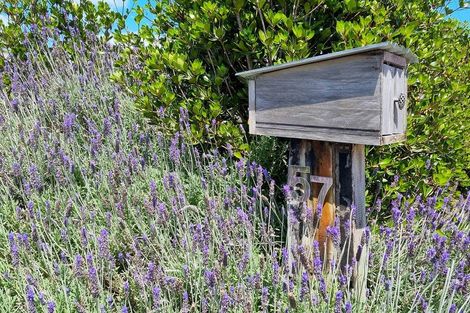 Photo of property in 57 Hauraki Road, Leigh, Warkworth, 0985