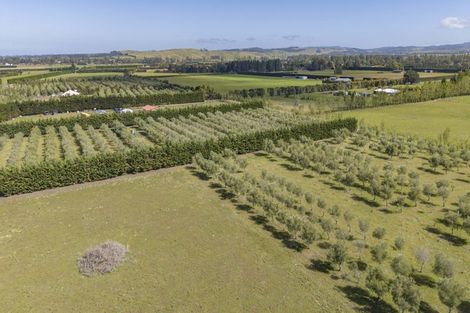 Photo of property in 206 Mount Brown Road, Glasnevin, Amberley, 7482