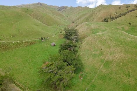 Photo of property in 420 Mangaoranga Road, Eketahuna, 4993