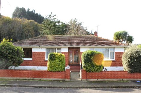 Photo of property in 12 Tannadice Street, Normanby, Dunedin, 9010