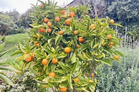 Photo of property in 89 Taylor Terrace, Tawa, Wellington, 5028