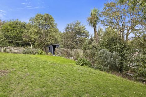 Photo of property in 59 Aytoun Street, Waverley, Dunedin, 9013