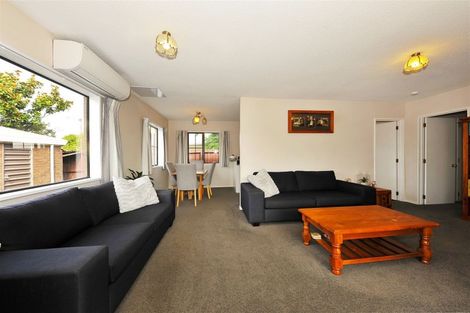 Photo of property in 117 Gilberthorpes Road, Hei Hei, Christchurch, 8042