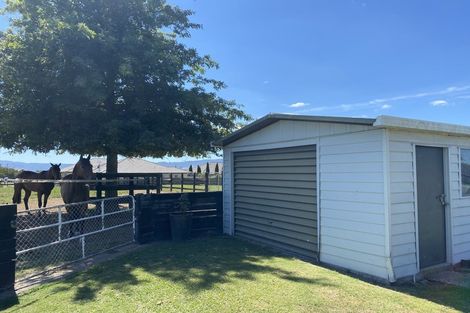 Photo of property in 37 Banks Road, Matamata, 3400