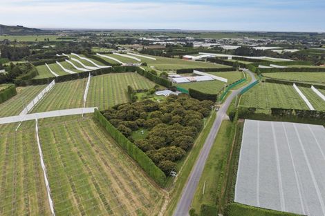 Photo of property in 348 Manoeka Road, Te Puke, 3183