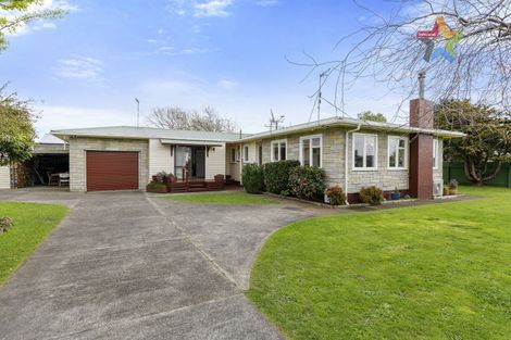 Photo of property in 72 Tiro Tiro Road, Levin, 5510