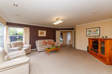 Photo of property in 19 Karina Terrace, Roslyn, Palmerston North, 4414