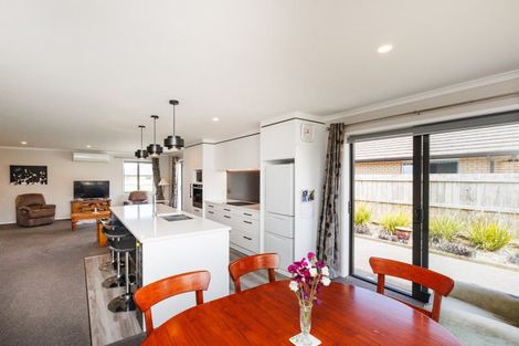 Photo of property in 33 Accolade Street, Feilding, 4702