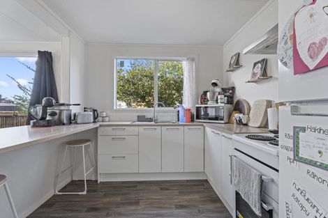 Photo of property in 5 Mcintosh Street, Chartwell, Hamilton, 3210