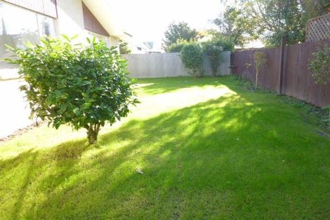 Photo of property in 12 Molesworth Place, Somerfield, Christchurch, 8024