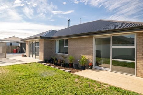 Photo of property in 15c Brewer Street, Blenheim, 7201