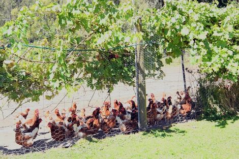 Photo of property in 275 Riwaka Valley Road, Riwaka, Motueka, 7198